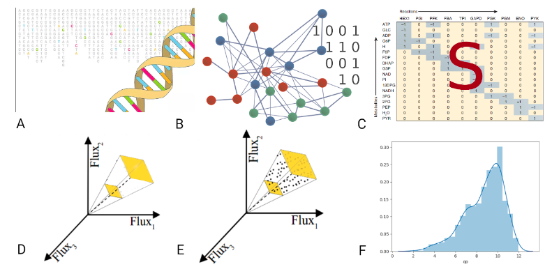 Geometric algorithms for sampling the flux space of metabolic networks