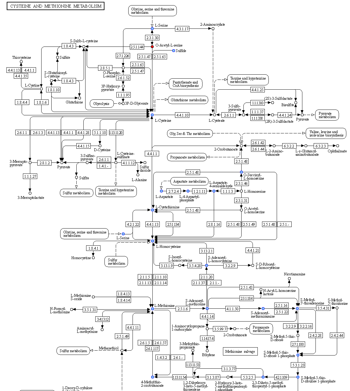 kegg_seed_map