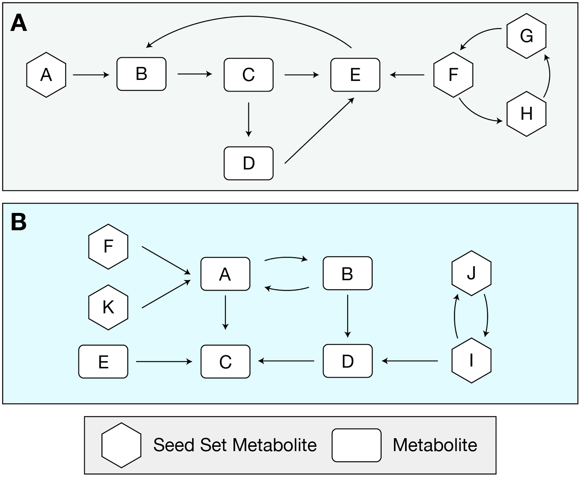 seed_scores_example